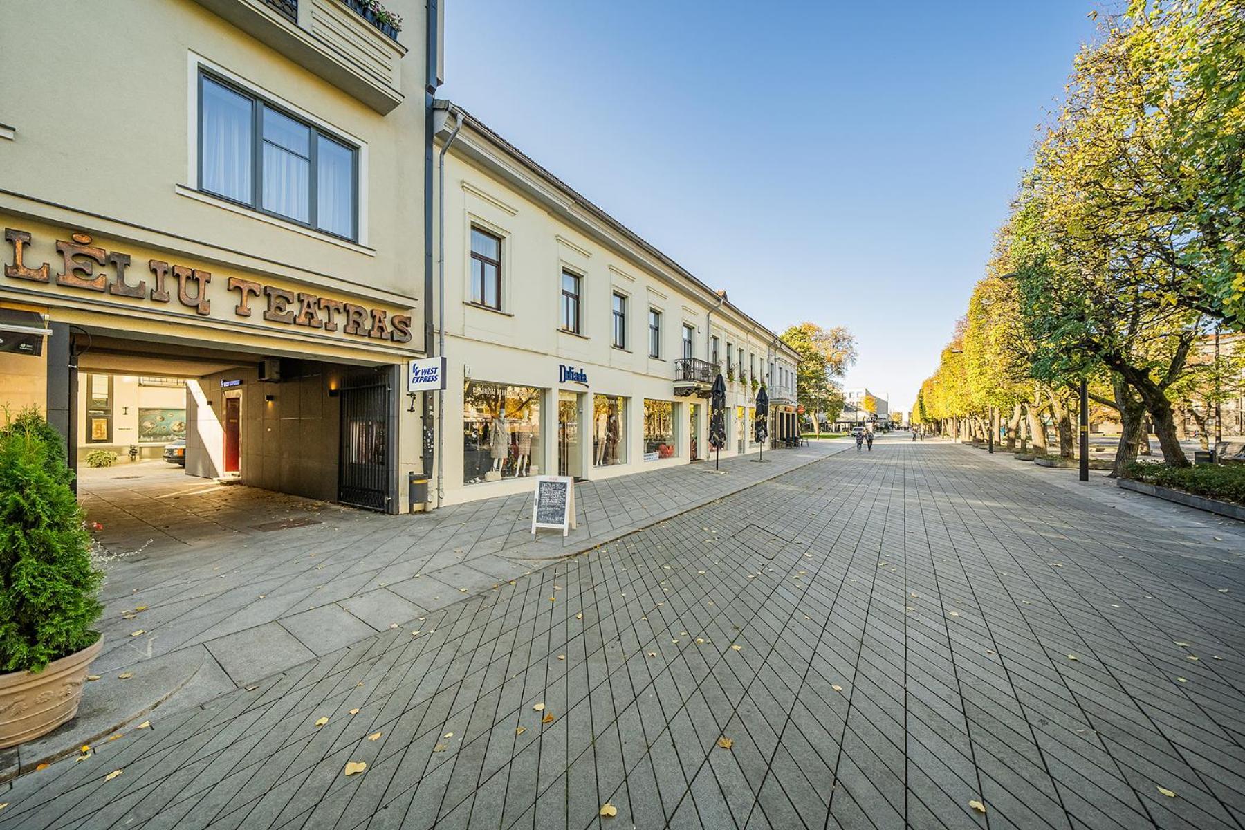 Central Park Apartments - The Luxury Collection Kaunas Kültér fotó