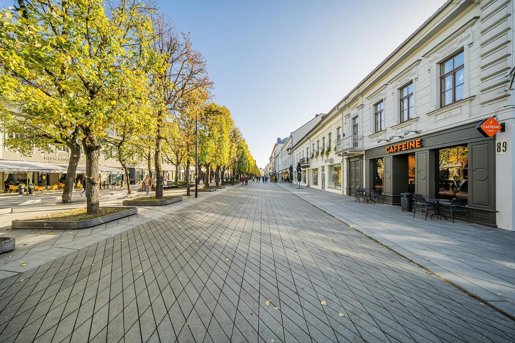 Central Park Apartments - The Luxury Collection Kaunas Kültér fotó
